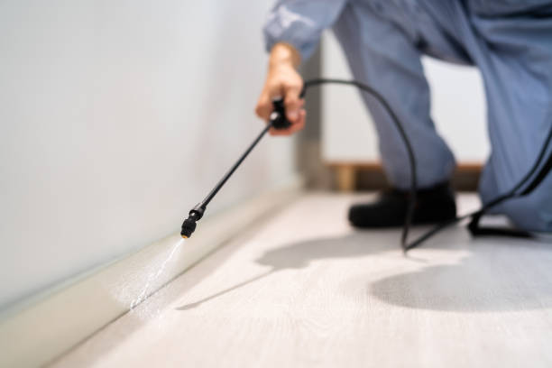 Certified termite inspector examining foundation in Goose Creek